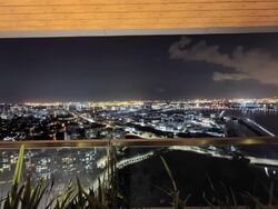 Twin Vew (D5), Apartment #526783401